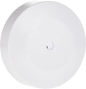 10A Ceiling Rose